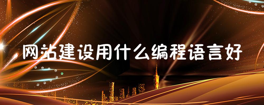 網(wǎng)站建設用什么編程語言好